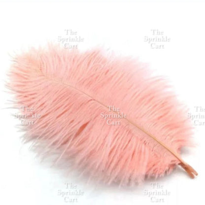 Colored Ostrich Goose Feather for DIY and Cake Decoration TSC