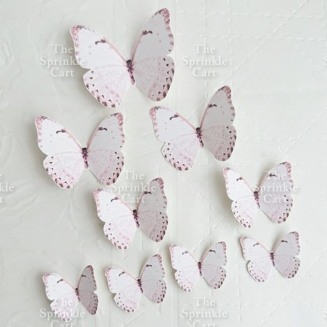 Butterfly cake topper for decoration Girl Fan cake topper