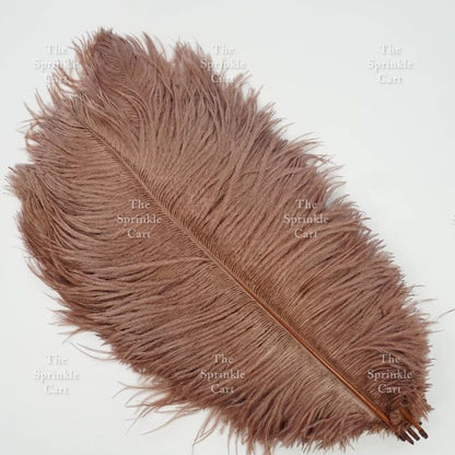 Colored Ostrich Goose Feather for DIY and Cake Decoration TSC