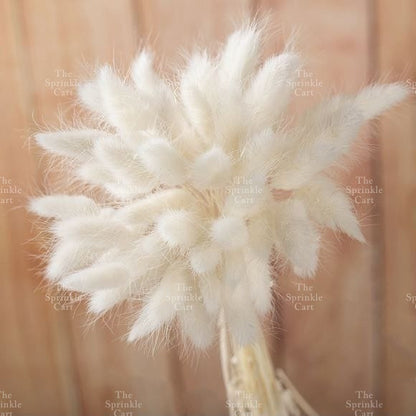 Natural Dried Bunny Tails Flower Bunch Reed Grass Dried Palm Leaf Wedding Decoration Artificial TSC