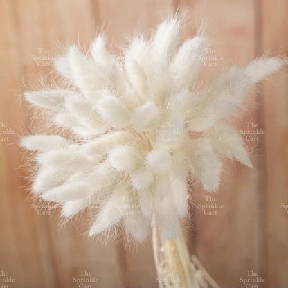 Natural Dried Bunny Tails Flower Bunch Reed Grass Dried Palm Leaf Wedding Decoration Artificial TSC