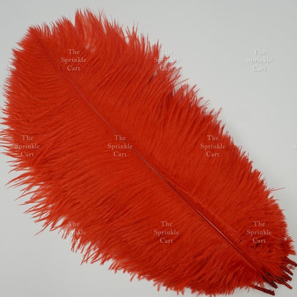 Colored Ostrich Goose Feather for DIY and Cake Decoration TSC