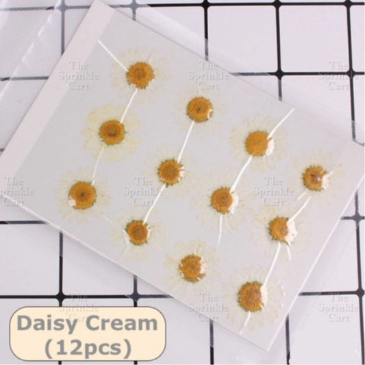Pressed Dried Flowers DIY Artificial Assorted Flowers Leaf Resin Art Craft NOT FOR CAKES