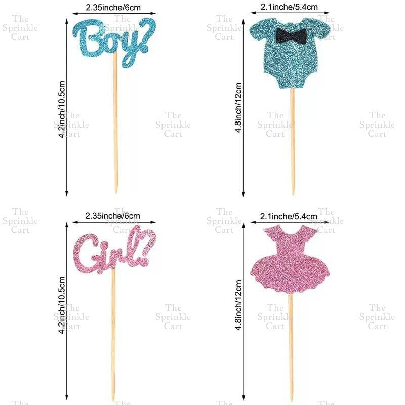 Gender Reveal Acrylic and Paper Cake Topper Decoration TSC