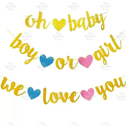Gender Reveal Acrylic and Paper Cake Topper Decoration TSC