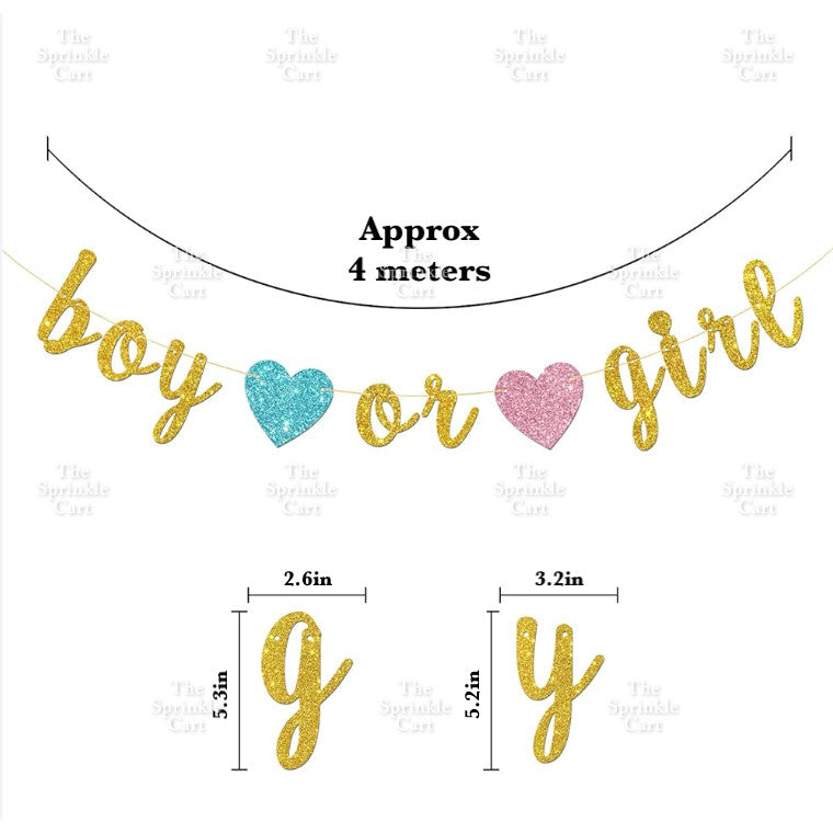 Gender Reveal Acrylic and Paper Cake Topper Decoration TSC