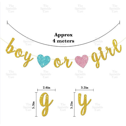 Gender Reveal Acrylic and Paper Cake Topper Decoration TSC