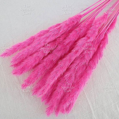 Natural Dried Grass Wheat Reed Kirin Pampas Millet for DIY Decoration TSC