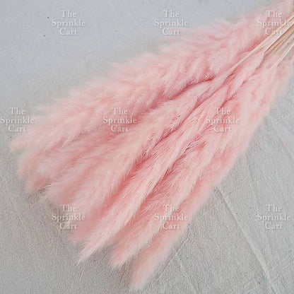 Natural Dried Grass Wheat Reed Kirin Pampas Millet for DIY Decoration TSC