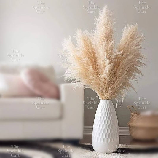 Natural Dried Grass Wheat Reed Kirin Pampas Millet for DIY Decoration TSC