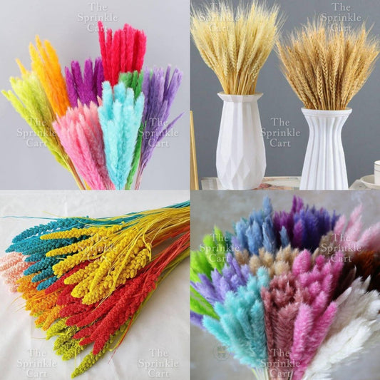 Natural Dried Grass Wheat Reed Kirin Pampas Millet for DIY Decoration TSC