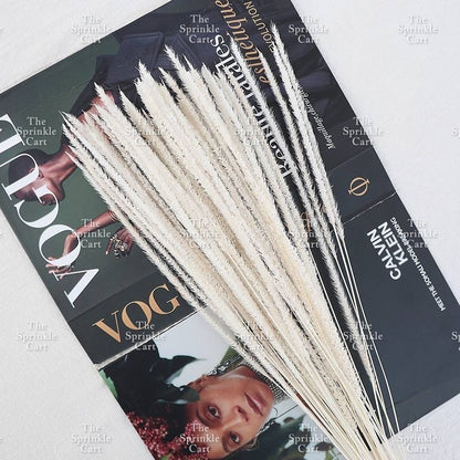 Natural Dried Grass Wheat Reed Kirin Pampas Millet for DIY Decoration TSC