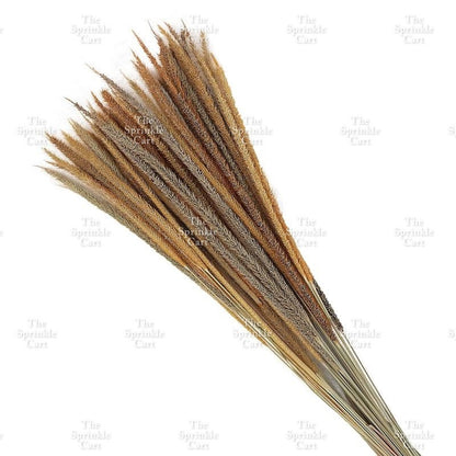 Natural Dried Grass Wheat Reed Kirin Pampas Millet for DIY Decoration TSC
