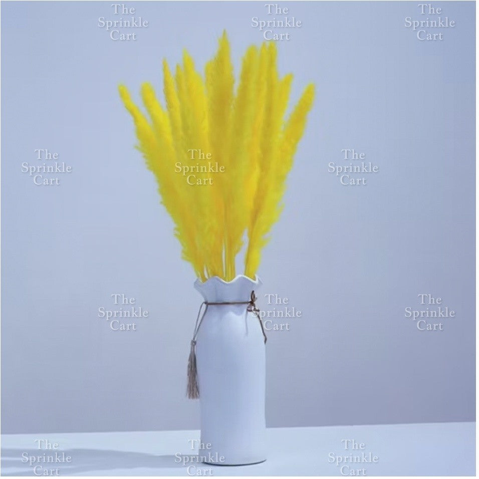Natural Dried Grass Wheat Reed Kirin Pampas Millet for DIY Decoration TSC