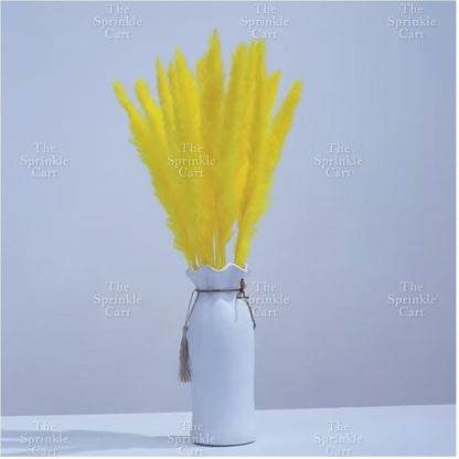 Natural Dried Grass Wheat Reed Kirin Pampas Millet for DIY Decoration TSC
