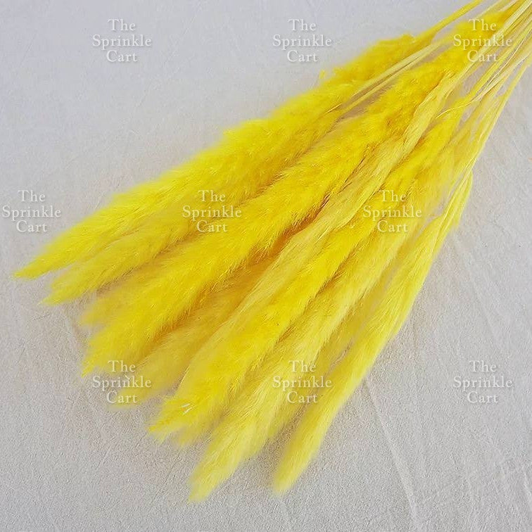 Natural Dried Grass Wheat Reed Kirin Pampas Millet for DIY Decoration TSC