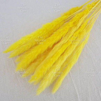 Natural Dried Grass Wheat Reed Kirin Pampas Millet for DIY Decoration TSC