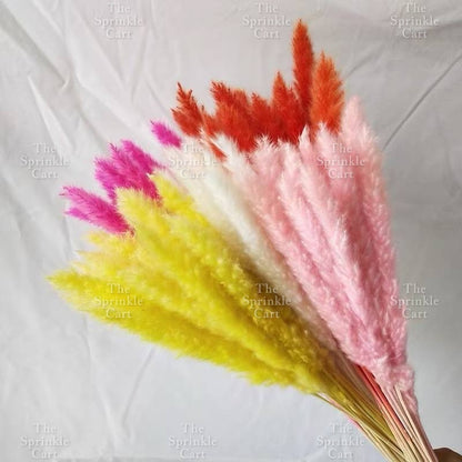 Natural Dried Grass Wheat Reed Kirin Pampas Millet for DIY Decoration TSC