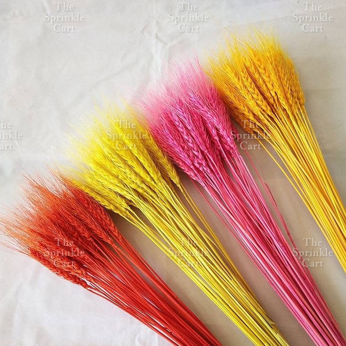 Natural Dried Grass Wheat Reed Kirin Pampas Millet for DIY Decoration TSC