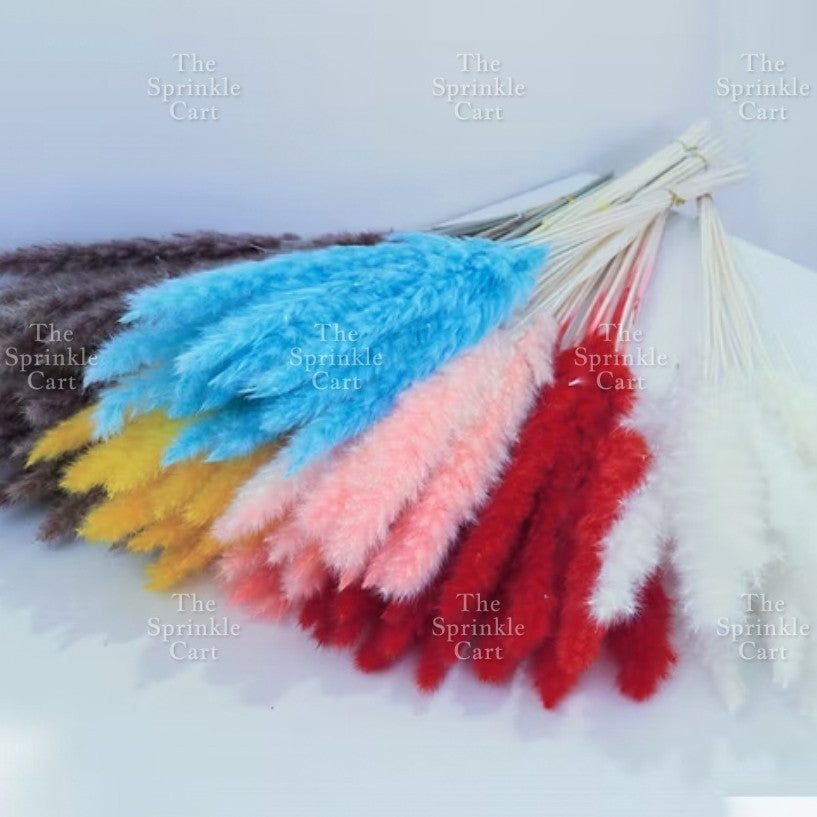 Natural Dried Grass Wheat Reed Kirin Pampas Millet for DIY Decoration TSC