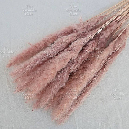 Natural Dried Grass Wheat Reed Kirin Pampas Millet for DIY Decoration TSC