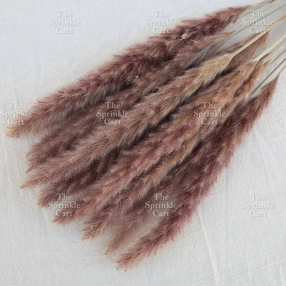 Natural Dried Grass Wheat Reed Kirin Pampas Millet for DIY Decoration TSC