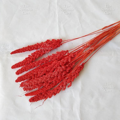 Natural Dried Grass Wheat Reed Kirin Pampas Millet for DIY Decoration TSC