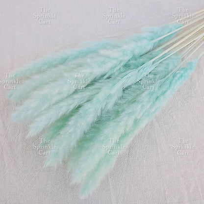 Natural Dried Grass Wheat Reed Kirin Pampas Millet for DIY Decoration TSC