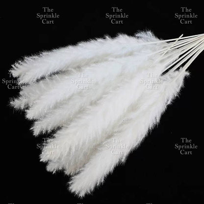 Natural Dried Grass Wheat Reed Kirin Pampas Millet for DIY Decoration TSC