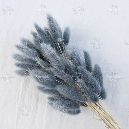 Natural Dried Bunny Tails Flower Bunch Reed Grass Dried Palm Leaf Wedding Decoration Artificial TSC