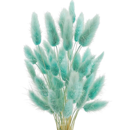Natural Dried Bunny Tails Flower Bunch Reed Grass Dried Palm Leaf Wedding Decoration Artificial TSC