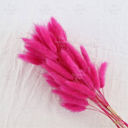 Natural Dried Bunny Tails Flower Bunch Reed Grass Dried Palm Leaf Wedding Decoration Artificial TSC