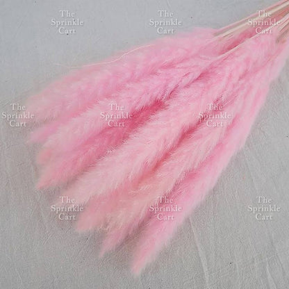 Natural Dried Grass Wheat Reed Kirin Pampas Millet for DIY Decoration TSC