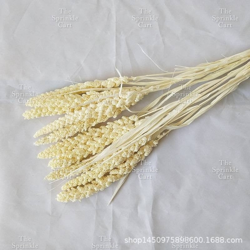 Natural Dried Grass Wheat Reed Kirin Pampas Millet for DIY Decoration TSC