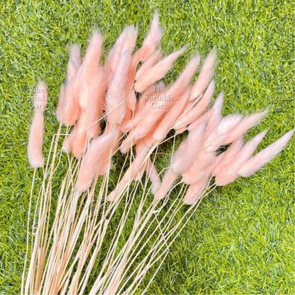 Natural Dried Bunny Tails Flower Bunch Reed Grass Dried Palm Leaf Wedding Decoration Artificial TSC