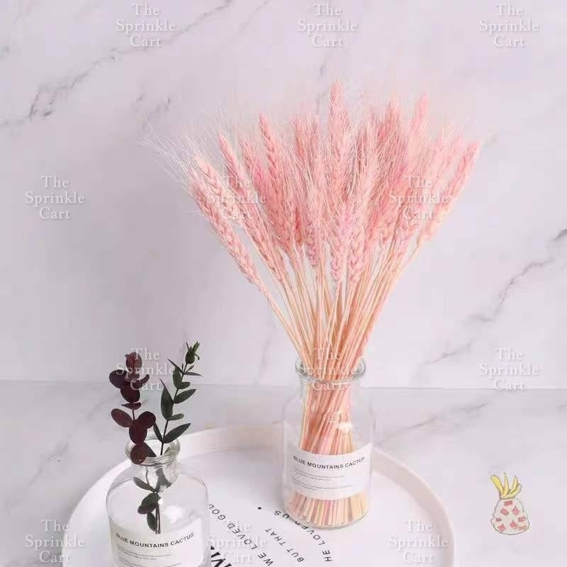 Natural Dried Grass Wheat Reed Kirin Pampas Millet for DIY Decoration TSC