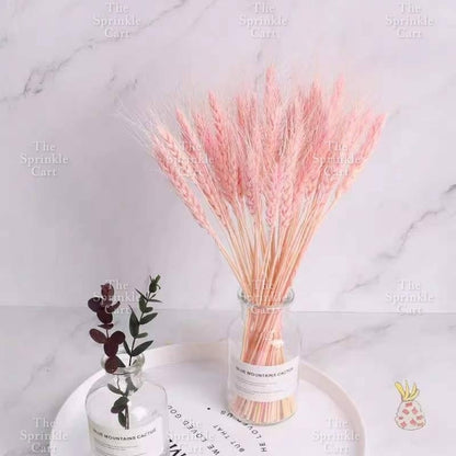 Natural Dried Grass Wheat Reed Kirin Pampas Millet for DIY Decoration TSC