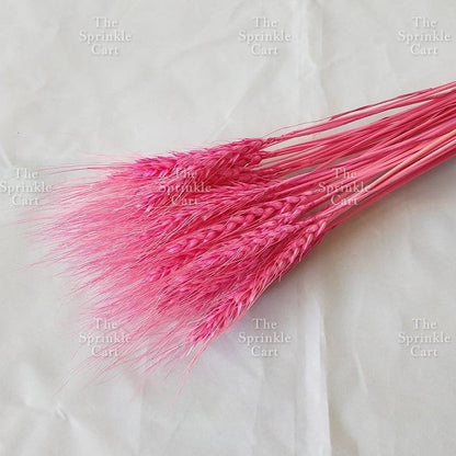Natural Dried Grass Wheat Reed Kirin Pampas Millet for DIY Decoration TSC