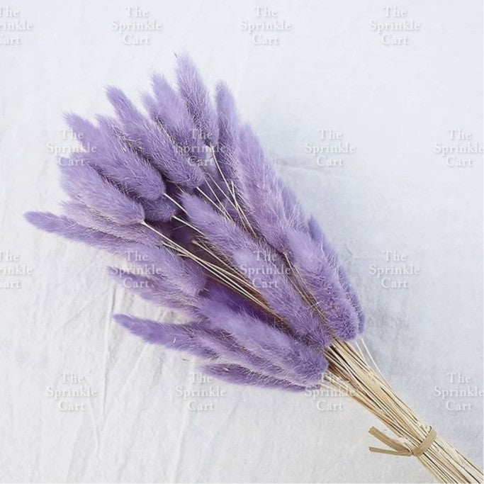 Natural Dried Bunny Tails Flower Bunch Reed Grass Dried Palm Leaf Wedding Decoration Artificial TSC