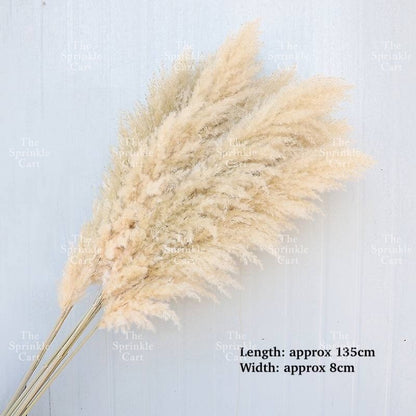 Natural Dried Grass Wheat Reed Kirin Pampas Millet for DIY Decoration TSC