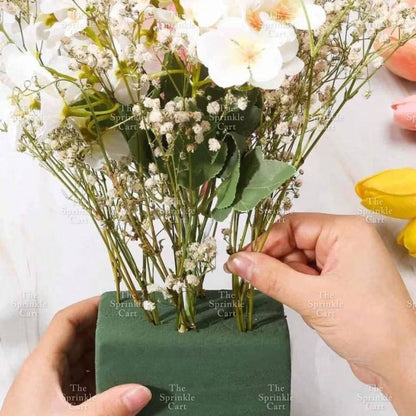 Flower Plant Foam Bed Cuttable Block TSC