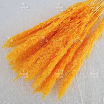 Natural Dried Grass Wheat Reed Kirin Pampas Millet for DIY Decoration TSC