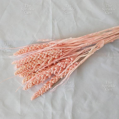 Natural Dried Grass Wheat Reed Kirin Pampas Millet for DIY Decoration TSC