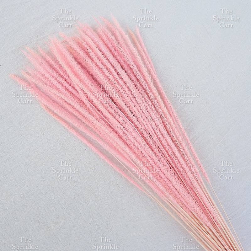 Natural Dried Grass Wheat Reed Kirin Pampas Millet for DIY Decoration TSC
