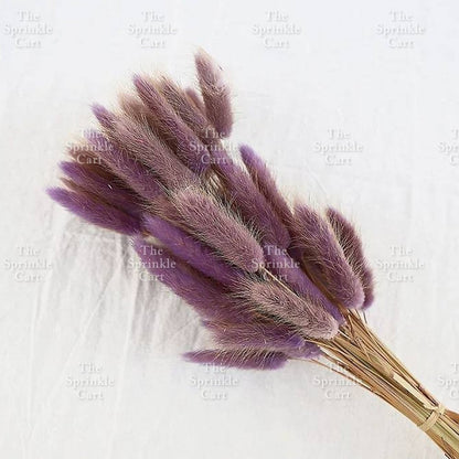 Natural Dried Bunny Tails Flower Bunch Reed Grass Dried Palm Leaf Wedding Decoration Artificial TSC