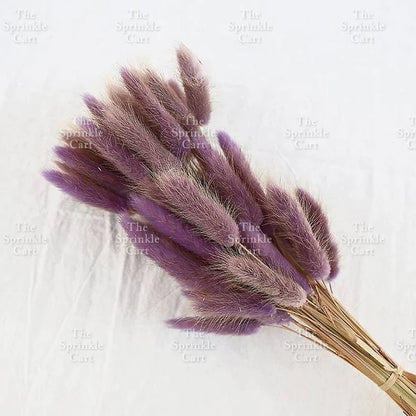 Natural Dried Bunny Tails Flower Bunch Reed Grass Dried Palm Leaf Wedding Decoration Artificial TSC