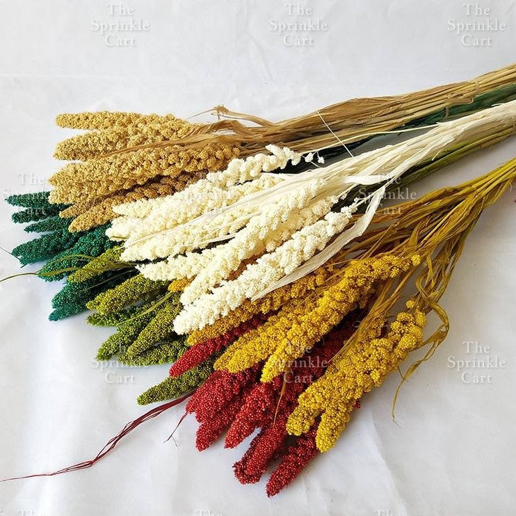Natural Dried Grass Wheat Reed Kirin Pampas Millet for DIY Decoration TSC