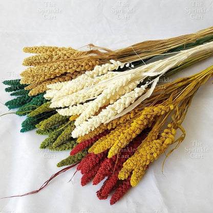 Natural Dried Grass Wheat Reed Kirin Pampas Millet for DIY Decoration TSC