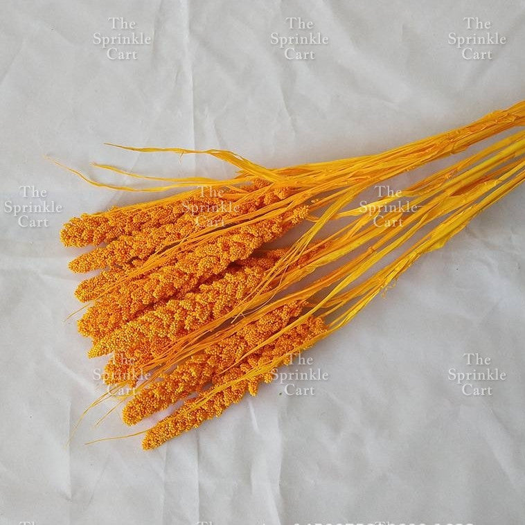 Natural Dried Grass Wheat Reed Kirin Pampas Millet for DIY Decoration TSC