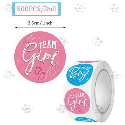 Gender Reveal Acrylic and Paper Cake Topper Decoration TSC
